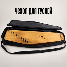 Чехол для гуслей с инструментом.png